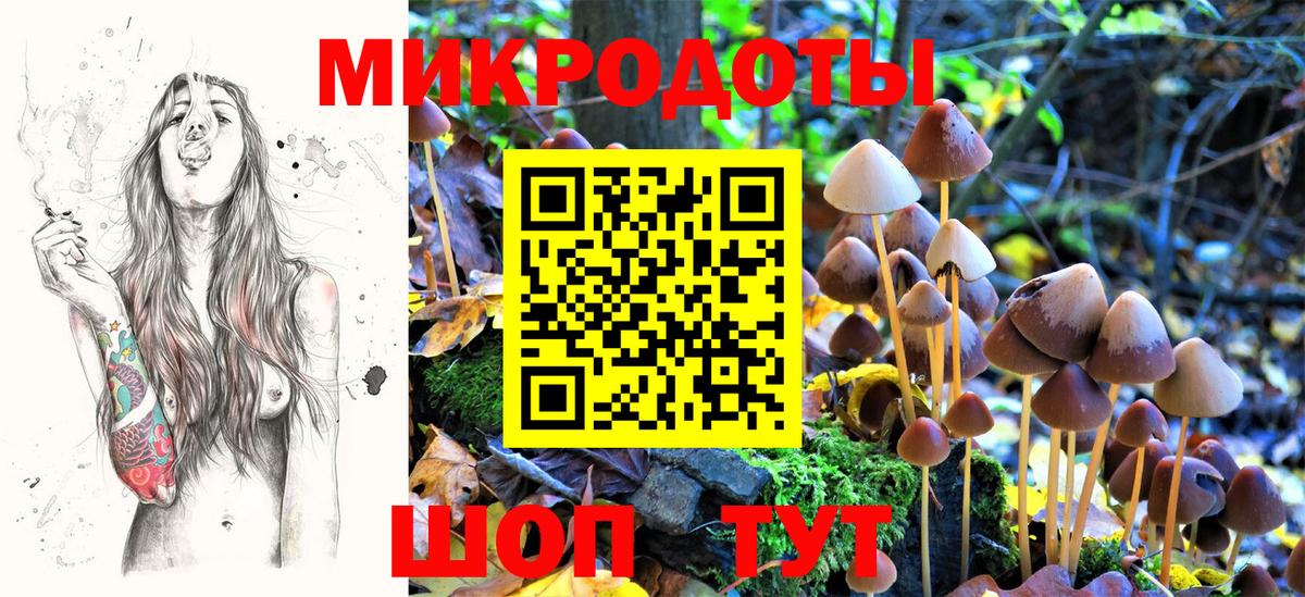 Галлюциногенные грибы Cubensis Сухой Лог